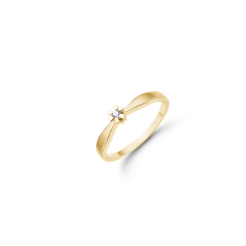 ETERNITY 8KT D.RING  1X0,03CT WSI, von Aagaard