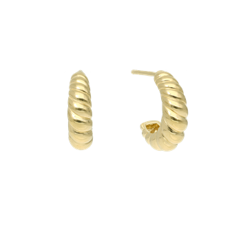 Halvcreol konkylie, von Aagaard