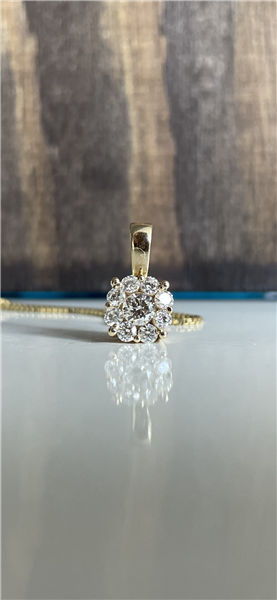 Vedhæng 14 karat rød guld BLOOM med brillanter med sølv forgyldt kæde, von L&G