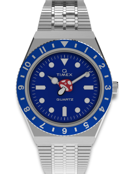 Model TW2Y48200, autoriseret forhandler Uhren-und-Schmuck.shop - Tysk